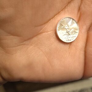 Small Silver Coin Accent - Shiny Round Coin